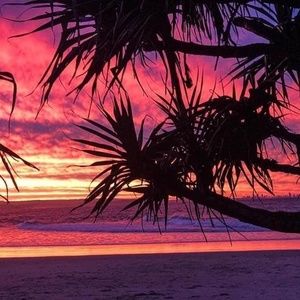 Meet your Posher, Jan